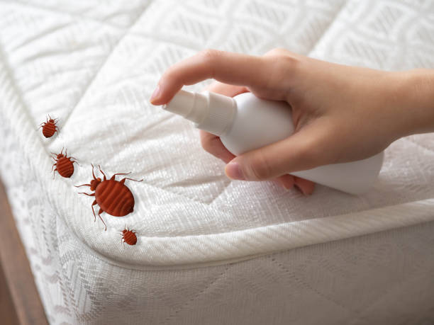 Best Indoor Pest Control  in Breckenridge, MI